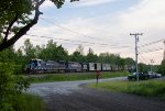 MEC 5963 Leads L053 at Greene, ME